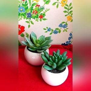 🎁Cute Faux Succulents - Set of Two